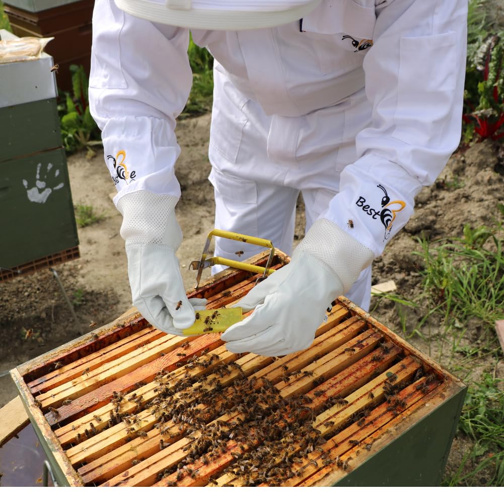 Best Bee - Traje de apicultura, atuendo de apicultor para adultos con guantes de cuero, Traje anti avispas XXXL