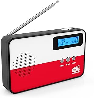 sky vision radio DAB 100 - małe radio cyfrowe, DAB Plus, mini, przenośne, z motywem flagi państwowej