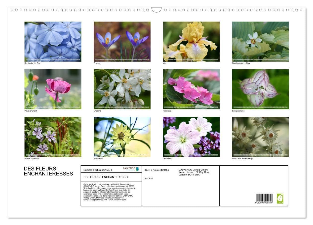 DES FLEURS ENCHANTERESSES (Calendrier mural 2027 DIN A2 vertical), CALVENDO calendrier mensuel: Découvrez la beauté de la nature avec ces gros plans floraux uniques.
