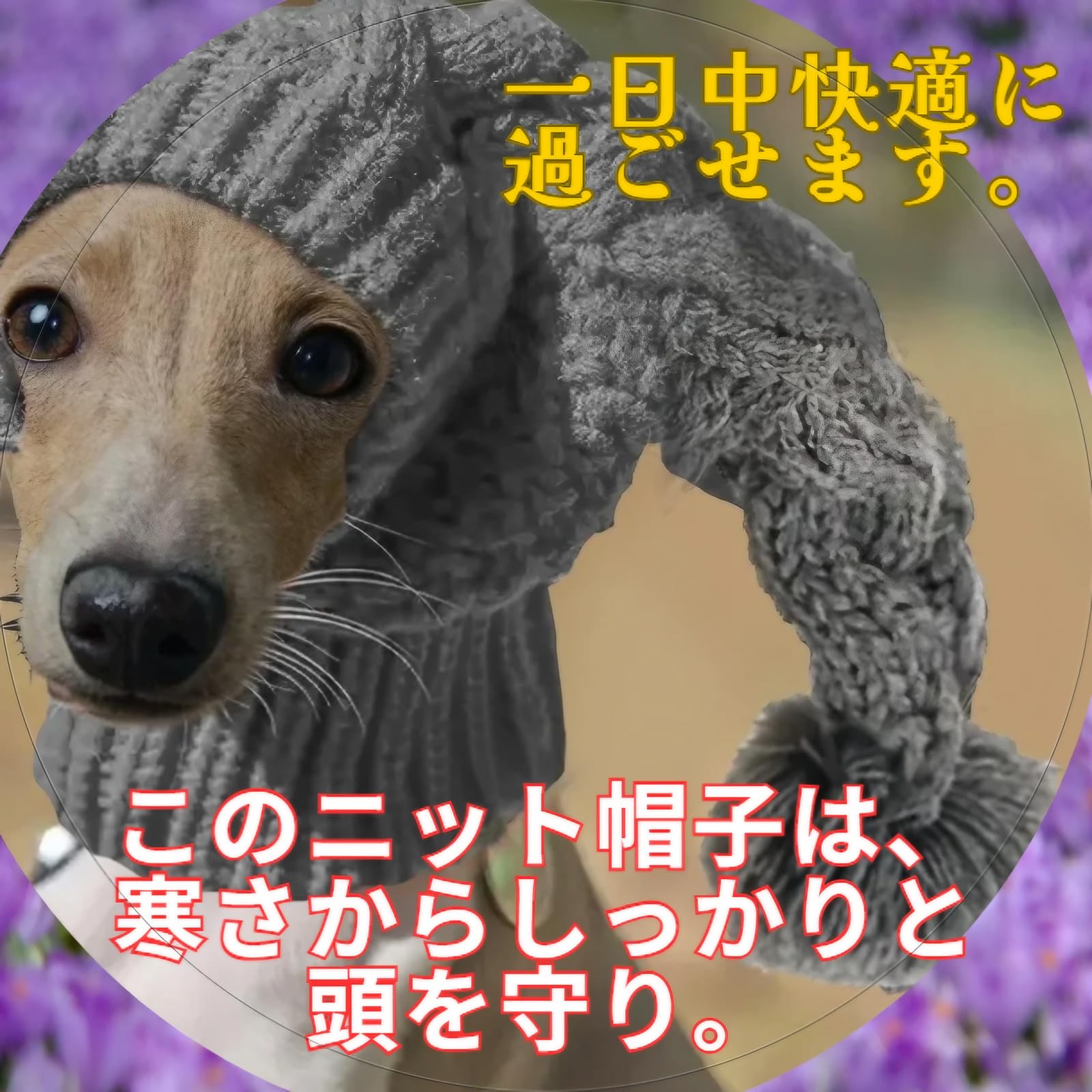 Amazon | manatom イタグレ帽子 ペット犬用 ニット帽 小型犬用 秋冬用