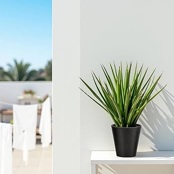 Amazon.co.jp: Greenship 植木鉢 4号（12.7*12.7cm） 深型