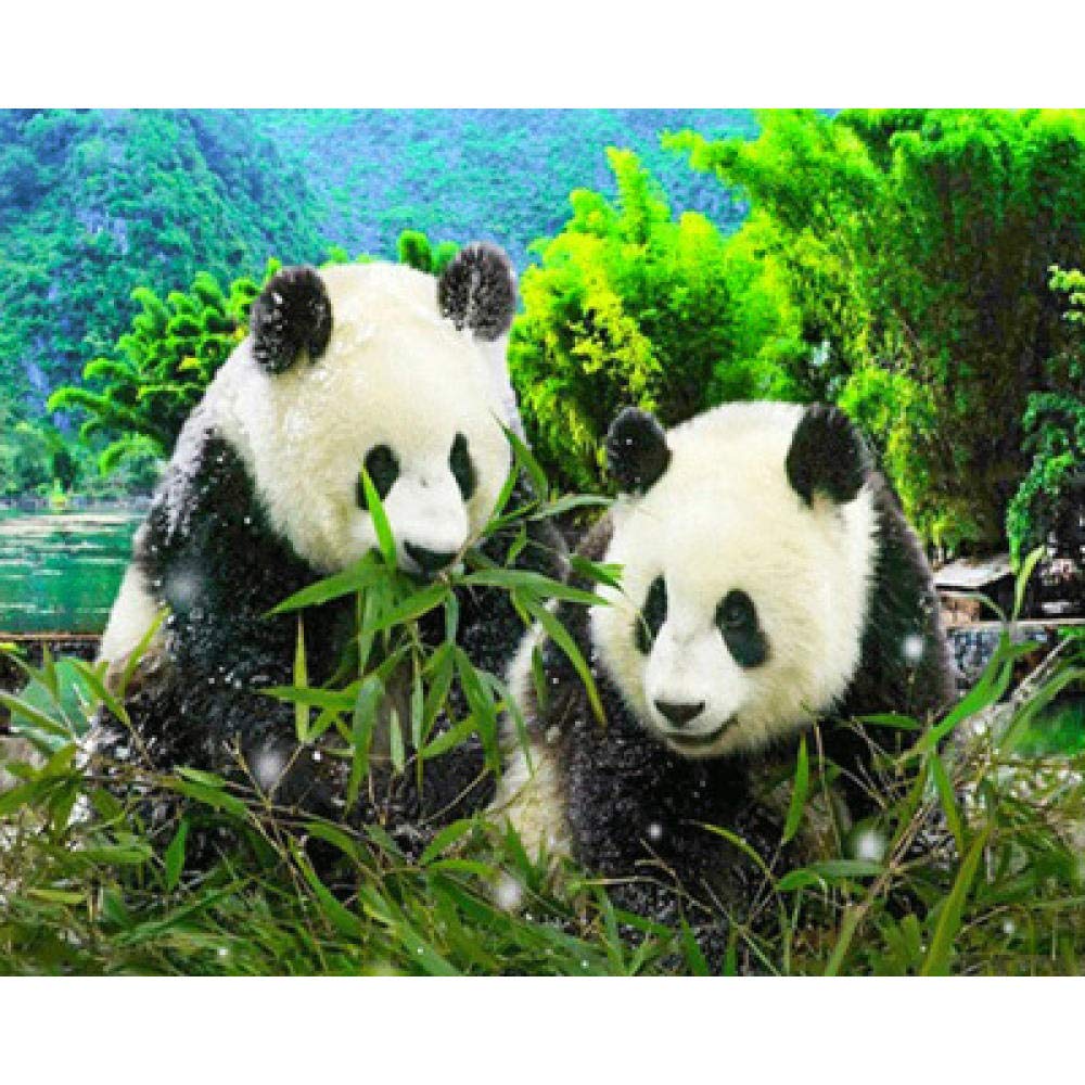 Mosaïque diamant 5D panda forêt kit cadeau bricolage adulte broderie 50x60 cm