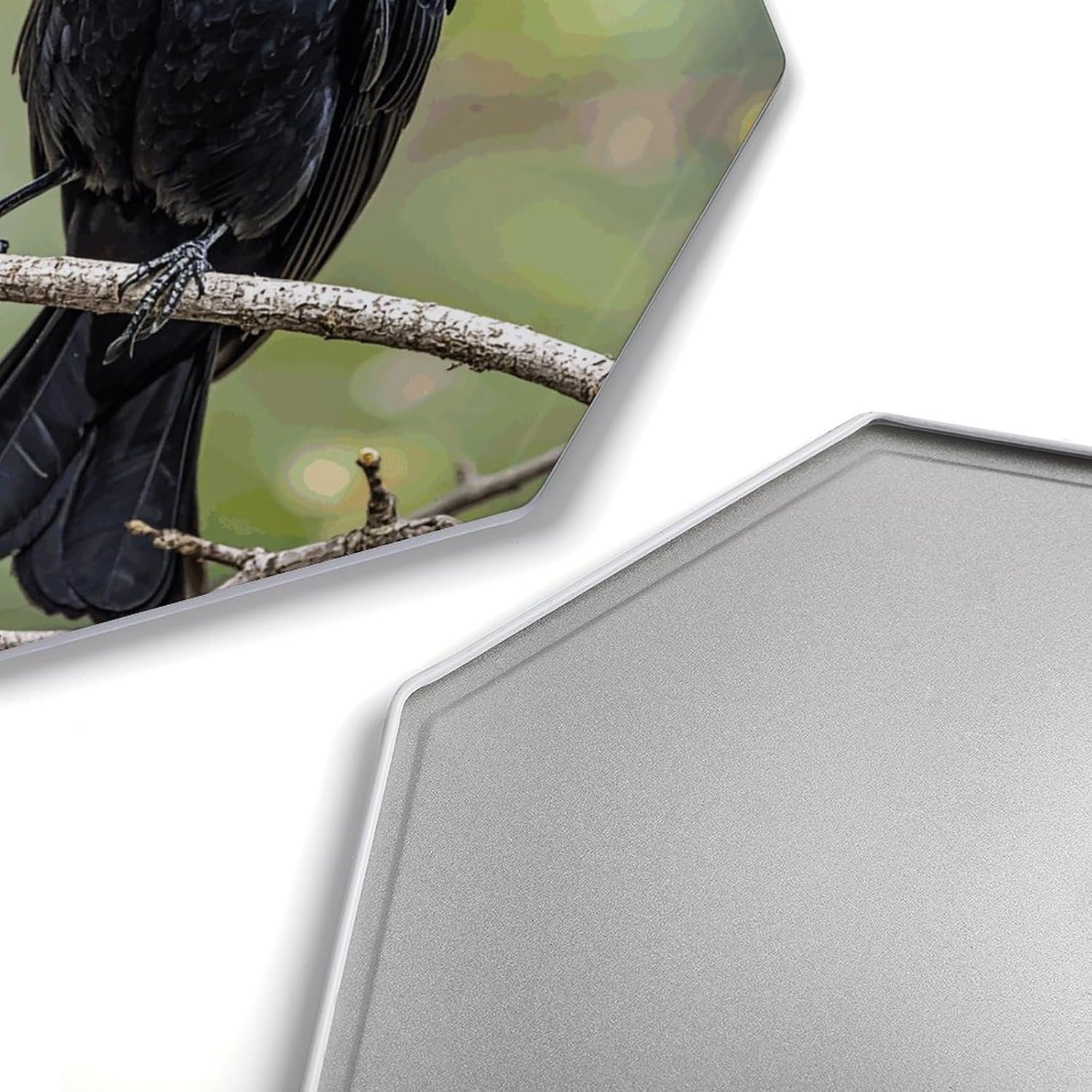 Ctagon Metal Sign for Home, Modern Display Plate for Kitchen, Black Crow Birds on A Branch Plates Accent Hanging Wall Decorations 3PCS for Living Room, Bedroom, Hallway, Hotel