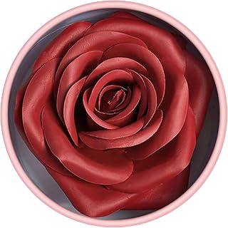 Blusher 3D Rose Face Powder Lightweight Long-lasting Blusher Cheek Makeup for Women High Glossy Finish (01)