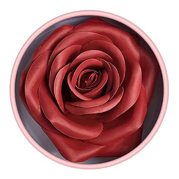 Blusher 3D Rose Face Powder Lightweight Long-lasting Blusher Cheek Makeup for Women High Glossy Finish 01