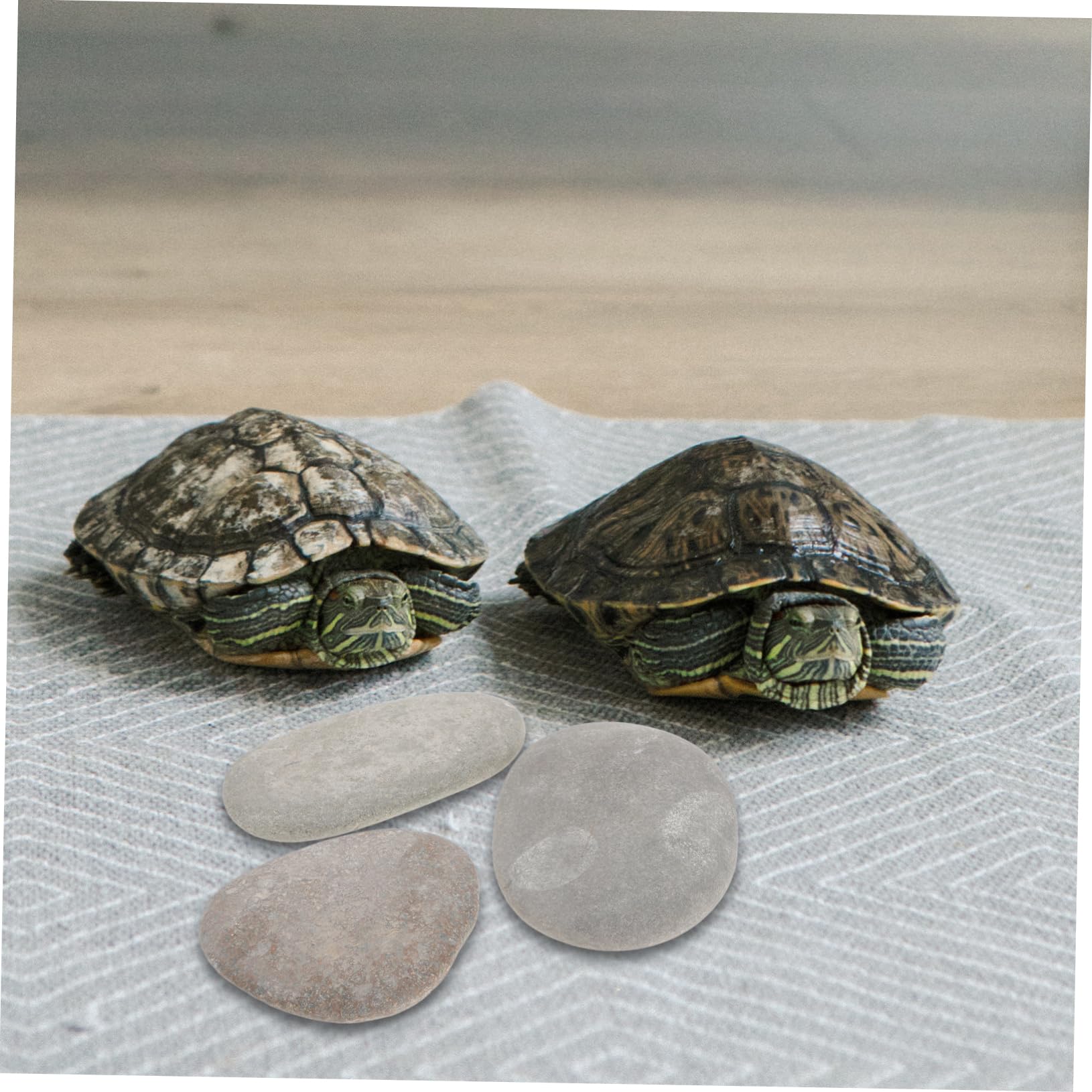 BESPORTBLE Sonnenplätze mit Flacher Oberfläche für Schildkröten 3 Stück und Zufällige Farbe aus Natürlichem Stein Geeignet für Aquariumdekoration und Reptilienlebensräume Geeignet für Süß