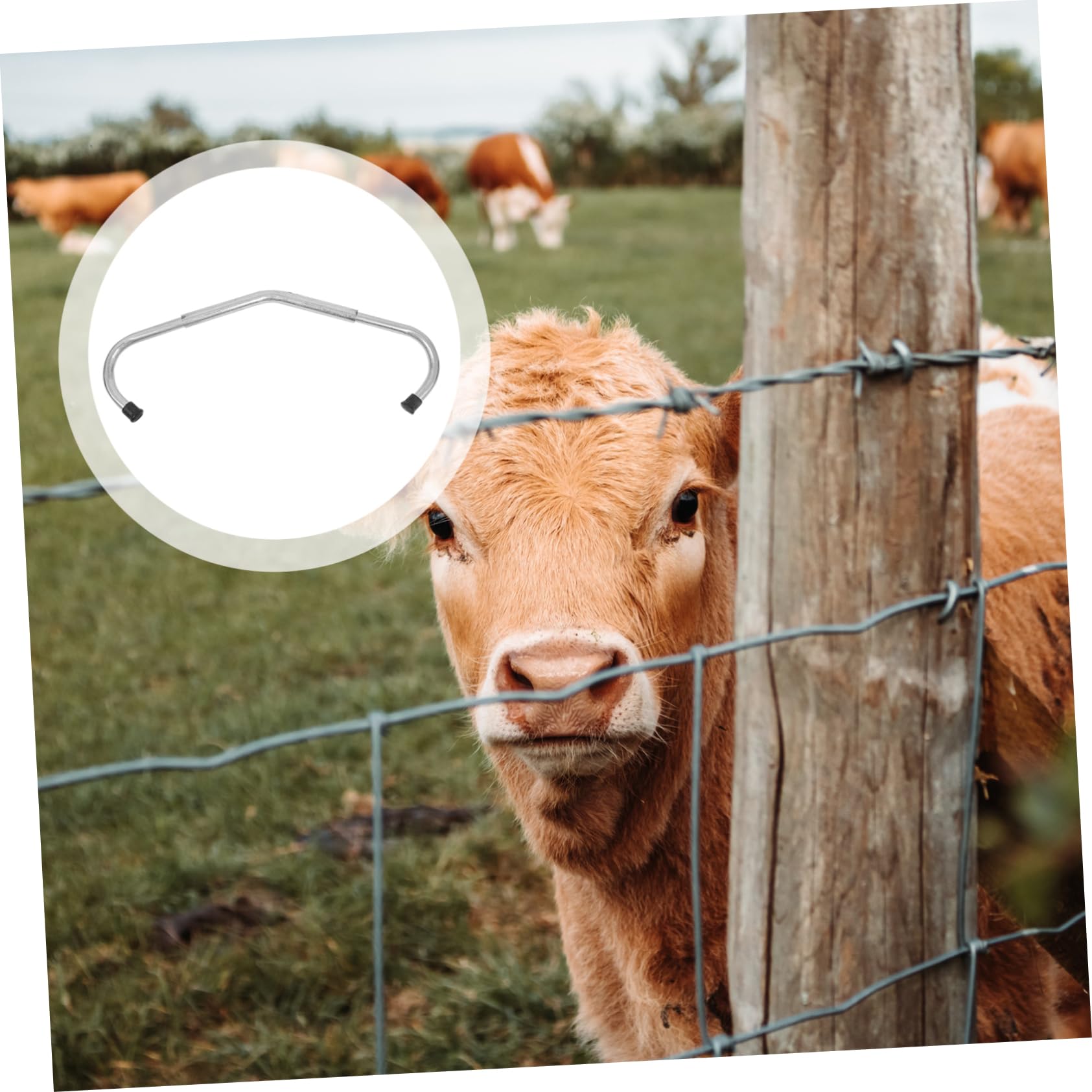 YARNOW Equipo Veterinario para Ganado Abrazadera Ajustable Galvanizada Anti-patada, Accesorio Resistente para Prevención de Lesiones en Granjas Domésticas