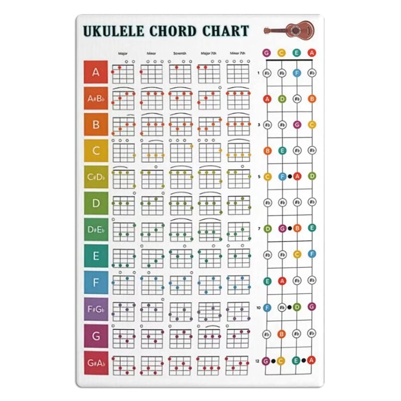 rayprint Ukulele Chord Chart Metal Tin Signs Ukulele Knowledge Posters Ukulele Beginner's Guide Plaques Music Studio Home Room Wall Decor 12x16 Inches