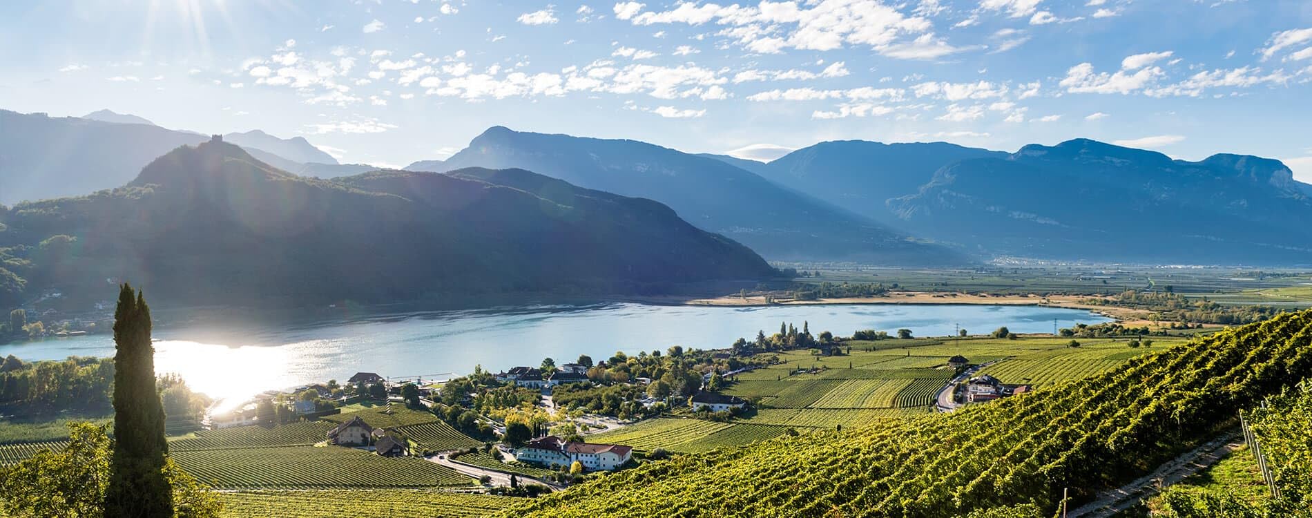Kellerei Kaltern Gewürztraminer Südtirol trocken, 750ml (Packung mit 6)