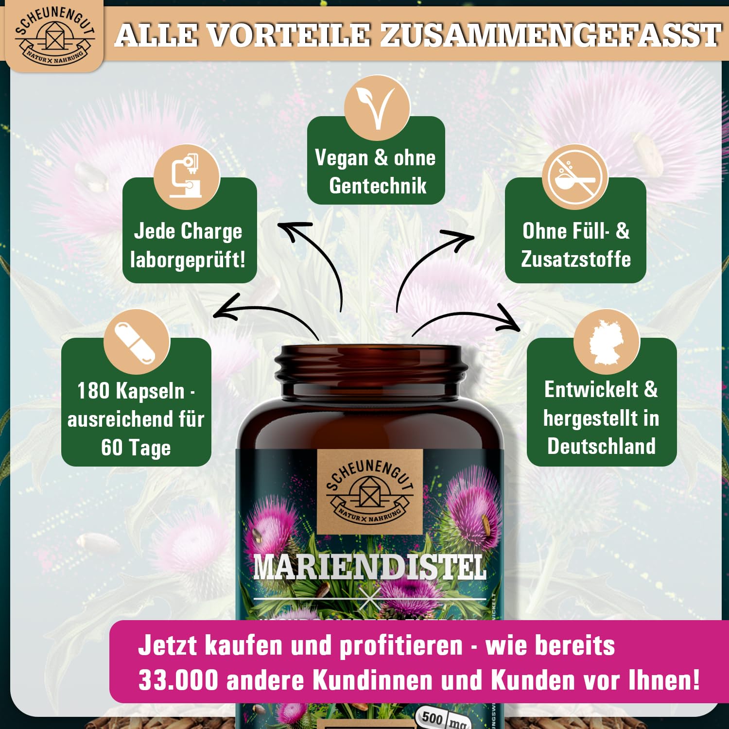 Mariendistel Kapseln 1500mg -WICHTIG: 25:1 Extrakt (=37500mg reines Mariendistel pro Tagesdosis) +80% Silymarin -Silymarin Hochdosiert- Laborgeprüft und Vegan DE SCHEUNENGUT®