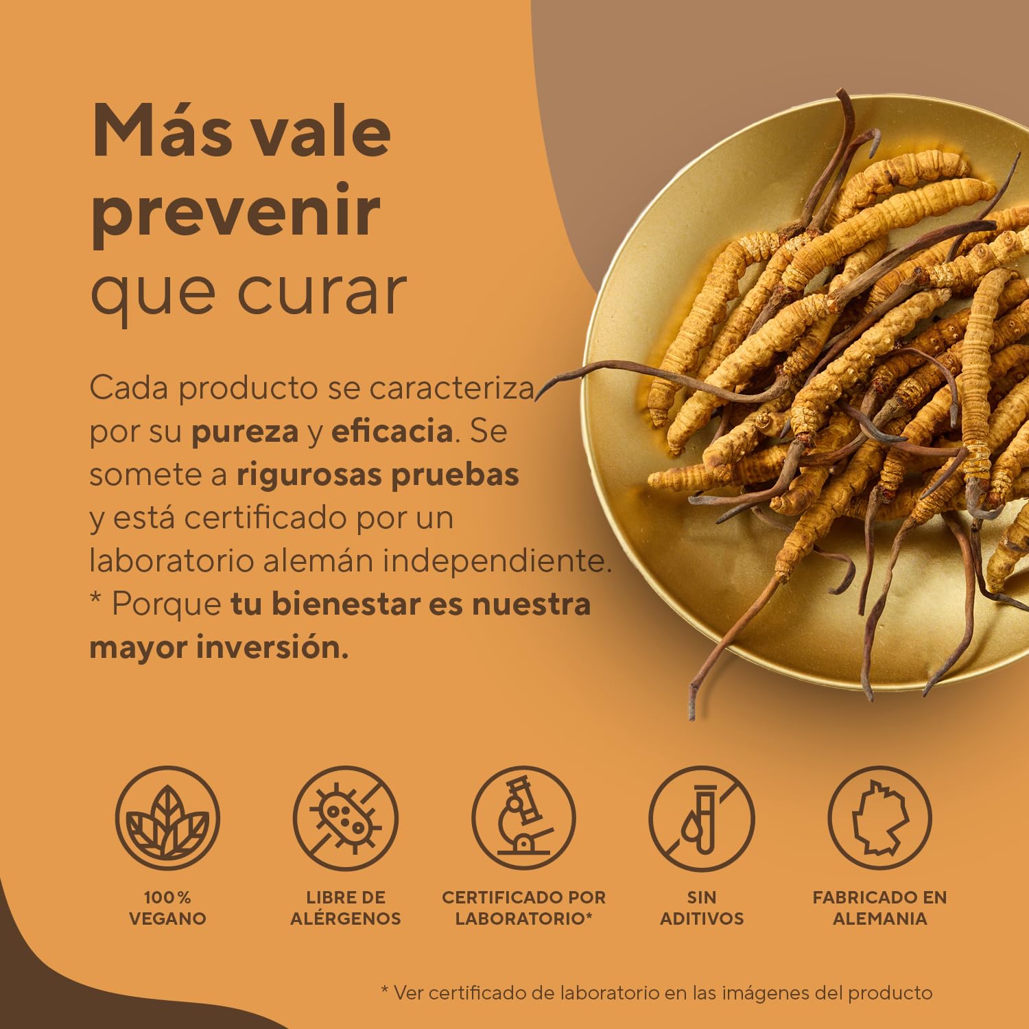Cordyceps Sinensis cápsulas - 19500mg (10:1) alta dosis - 270 cápsulas - 207 g - con 40% de polisacáridos bioactivos - Testado en laboratorio - Vegano - TRUE NATURE