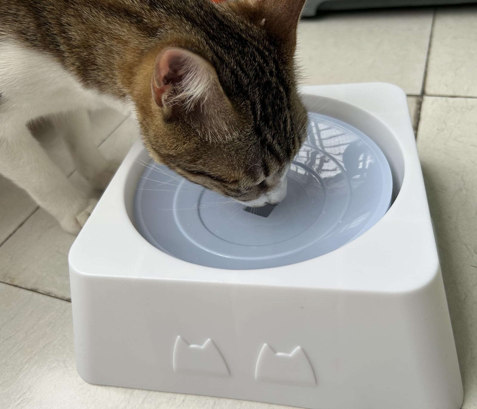 Amazon | Covifize 水飲み器 ペット給水器 犬/猫水飲み器 大容量1L 猫