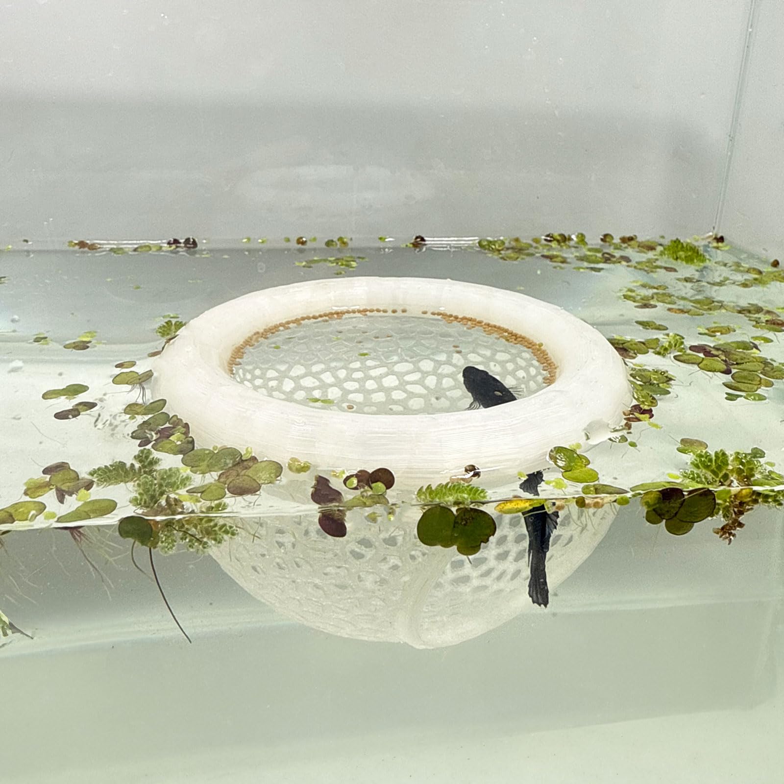 Aquarium Floating Betta Fish Skins, Betta or Shrimp Feeder, Cave and Hammock, Small Fish Feeding Rings, Aquarium Hiding Feeding Decorative Accessories (Translucent Color)