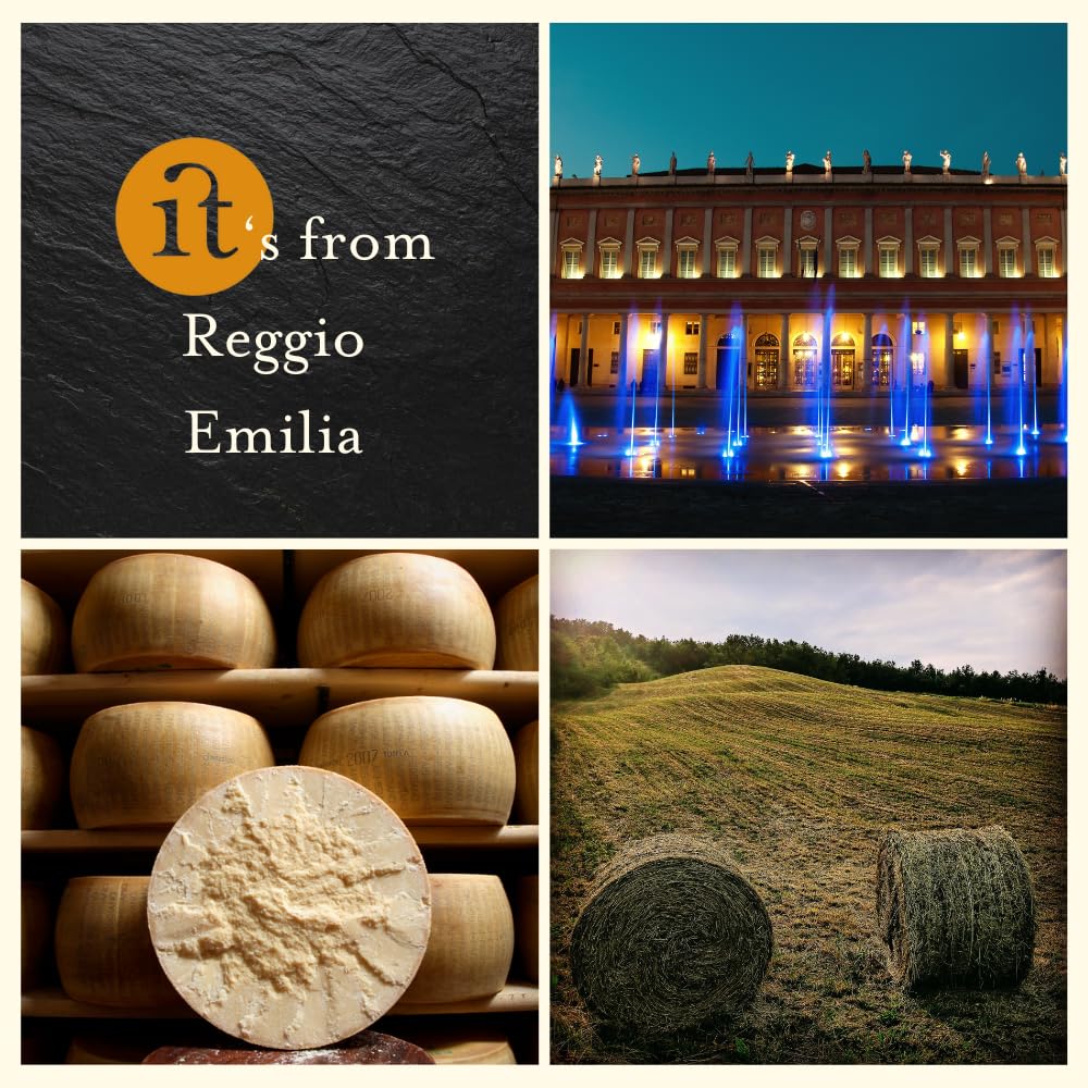 Parmigiano Reggiano DOP Gerieben – Monodosen à 5 g – 200 Beutel (1 kg) – Praktisch & Frisch – Authentischer italienischer Käse