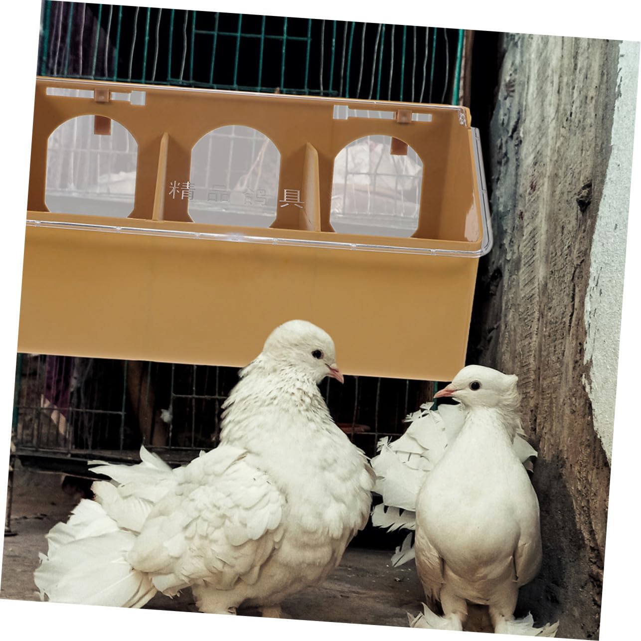 2 pièces Mangeoire Suspendue pour Pigeons et Petits Oiseaux Distributeur Alimentaire Anti-éclaboussures Capacité Résistant à Usure pour Volière et Jardin Lot