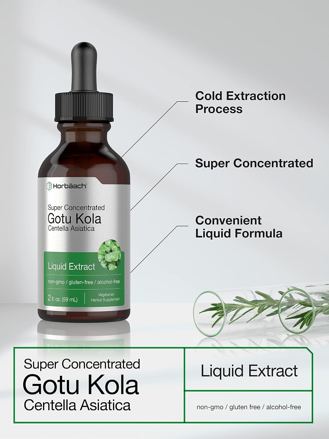 Gotu Kola Extract | 2 fl oz | Alcohol Free | Super Concentrated Liquid Herb Supplement | Vegetarian, Non-GMO, Gluten Free | by Horbaach