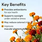 Nutridom Lutein 40mg + Zeaxanthin 5mg – Eye Health Supplement | Marigold Flower Extract | 100% Vegan, Non-GMO, Gluten-Free | 60 Capsules | 2-Month Supply