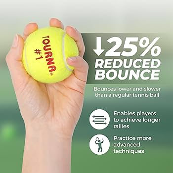 Mt. Fuji テニスボール未開封4個入り超レア Mt. Fuji テニスボール未開封4個入り超レア テニス ボール