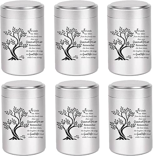 Urnas pequeñas para cenizas humanas, juego de 6 mini urnas para cenizas de 3 pulgadas, urnas de recuerdo para cenizas, contenedor de cenizas