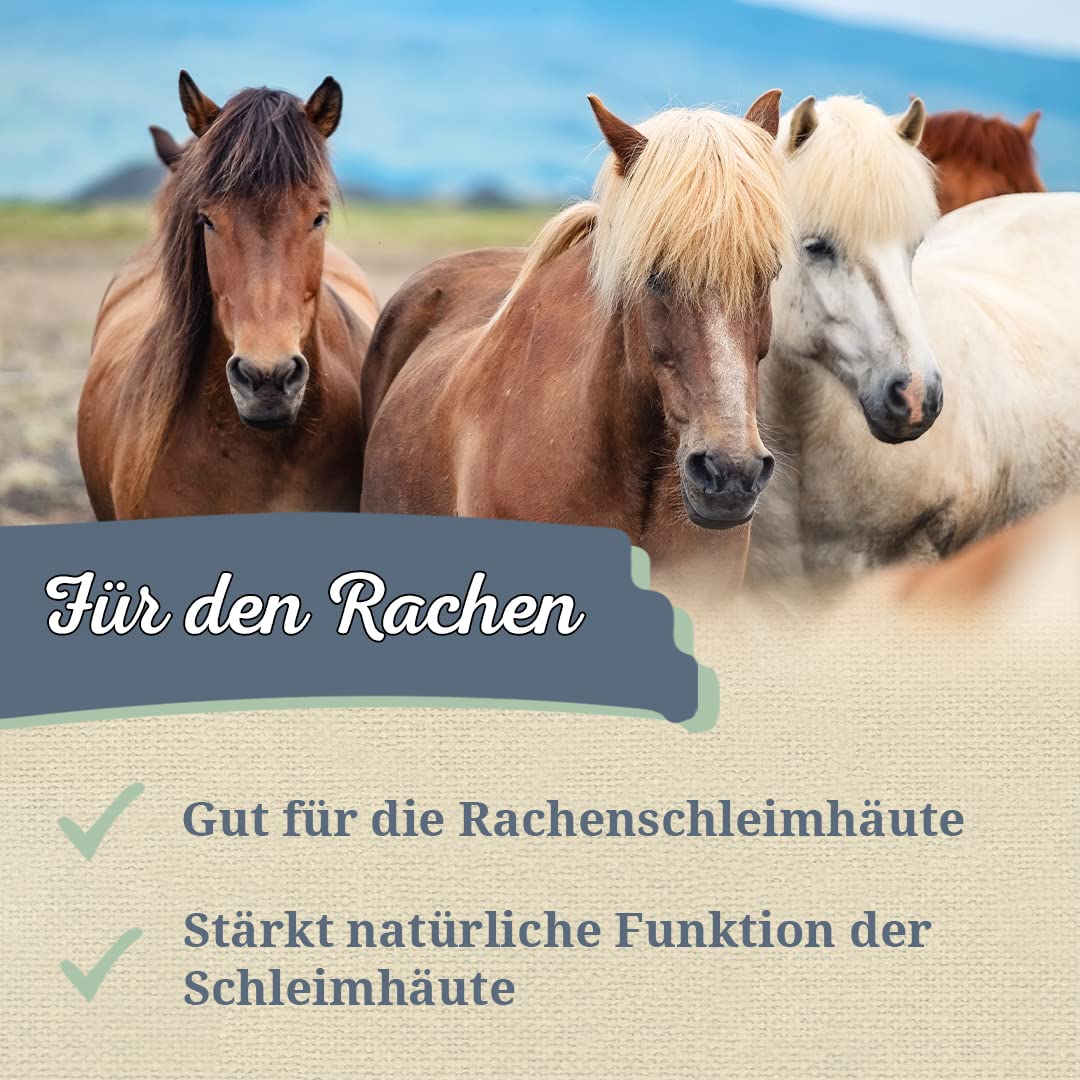 Krauterie Island Moos für Pferde, geschnitten (1000 g)