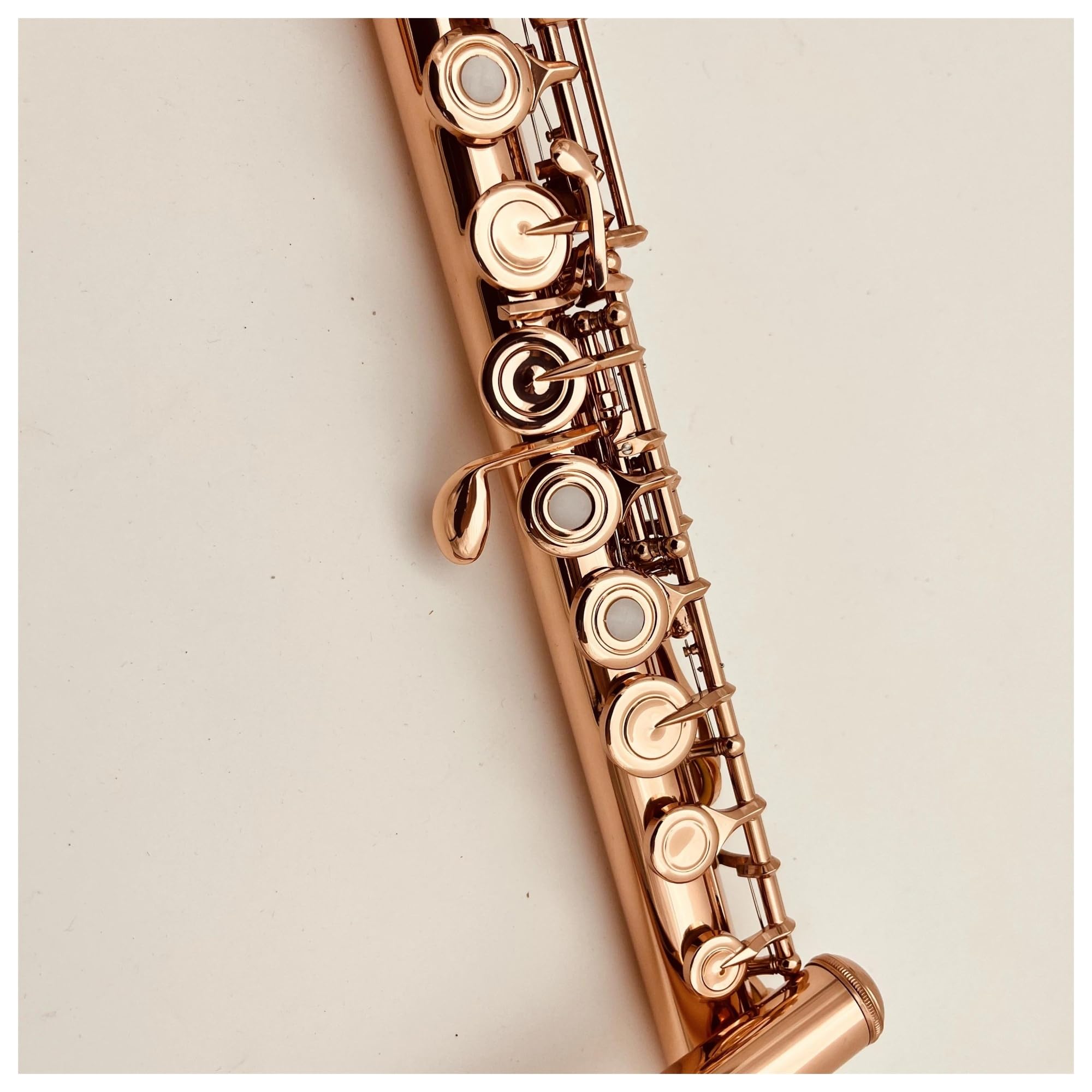 Flauto 17 fori chiusi C Tune Strumento musicale professionale