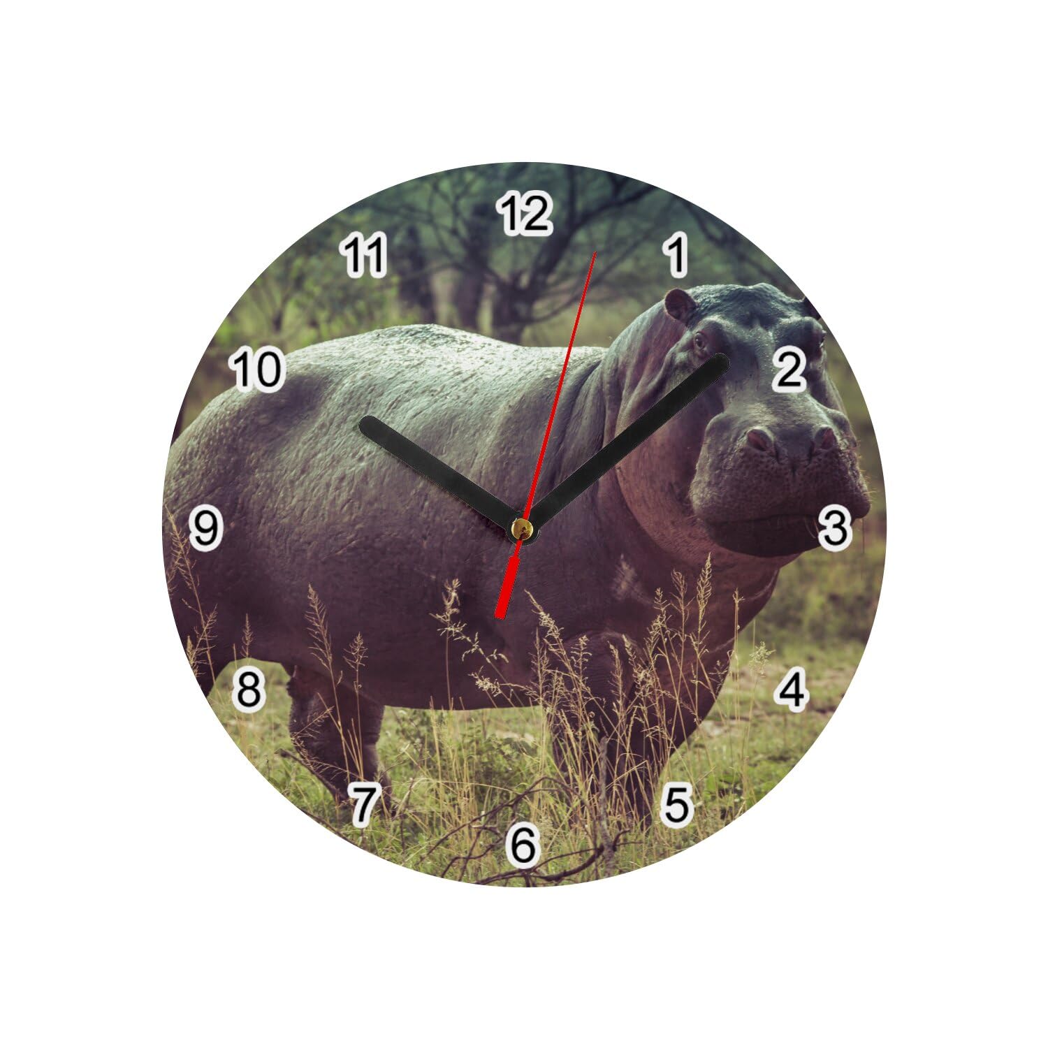 Horloge murale hippopotame blanc 20cm pendule verre animaux de la jungle