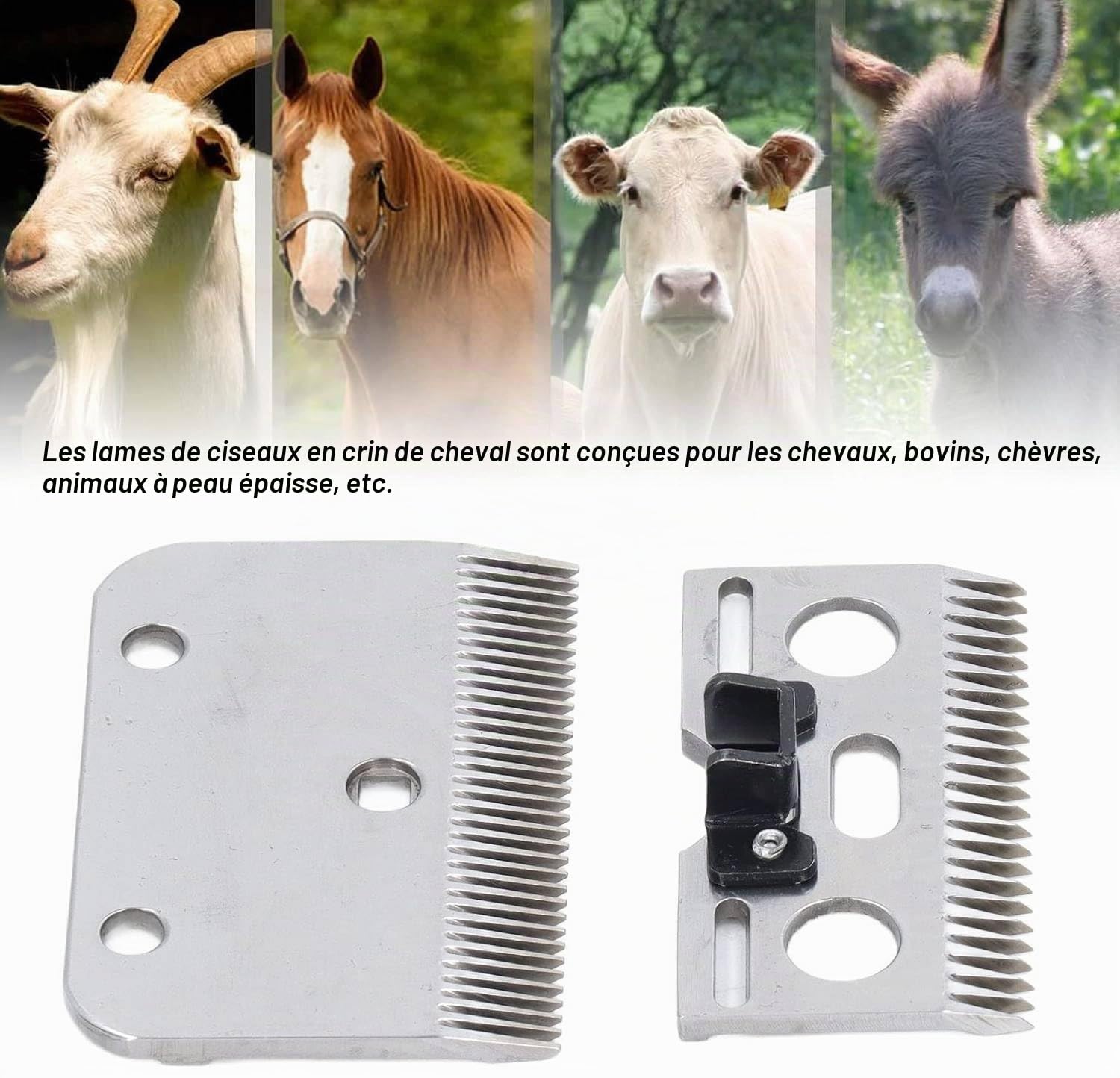 Fyearfly Tondeuse à Mouton 35 Dents - Lame de Cisaillement pour Toilettage de Chevaux, Bétail Domestique, Chèvres et Agneaux