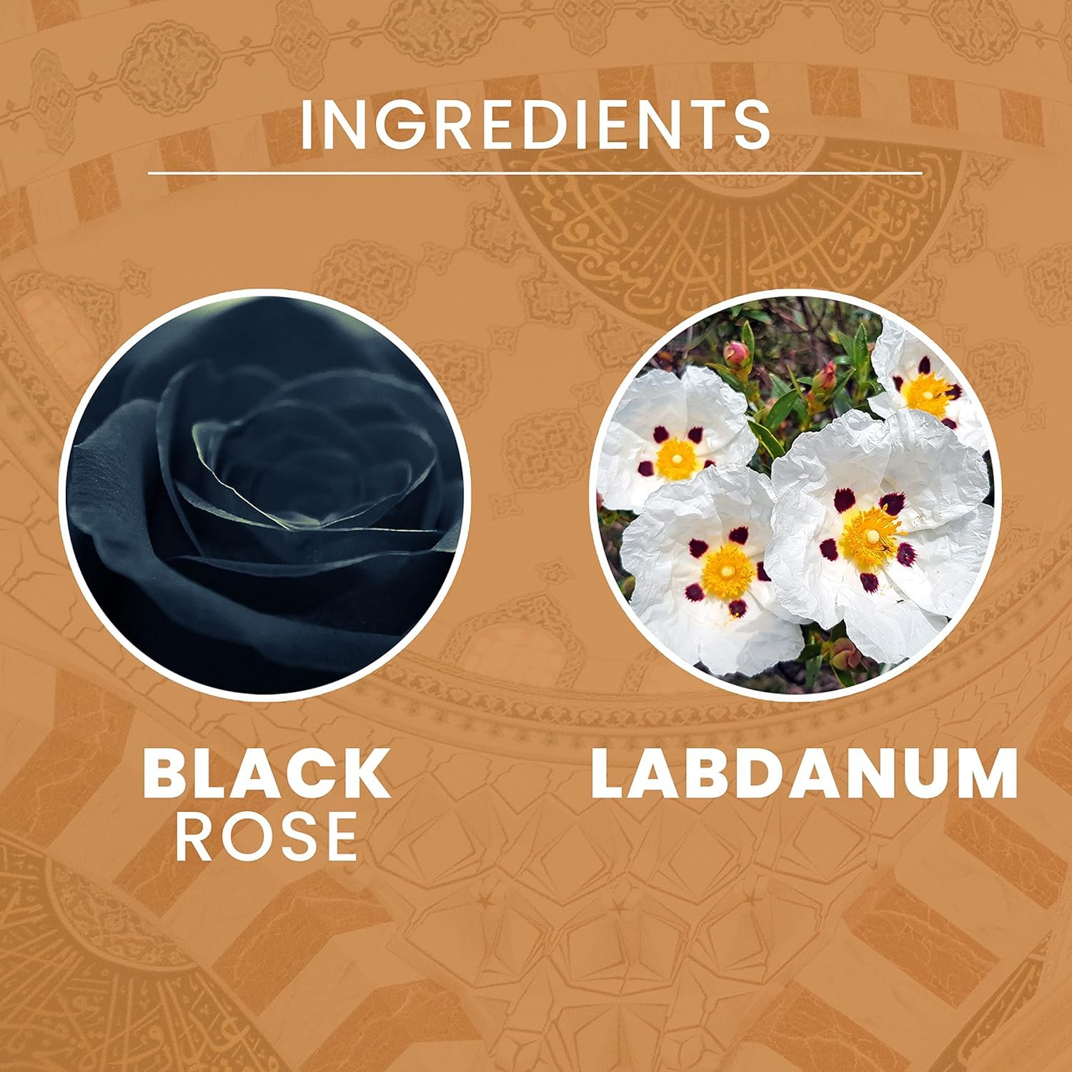 Tesori d'Oriente Crema Corpo Byzantium, 12 Stück Körpercreme, schwarze Rose und Ladanum, 300 ml + 1 Packung gratis Felce Azzurra Talk im Beutel, 100 g