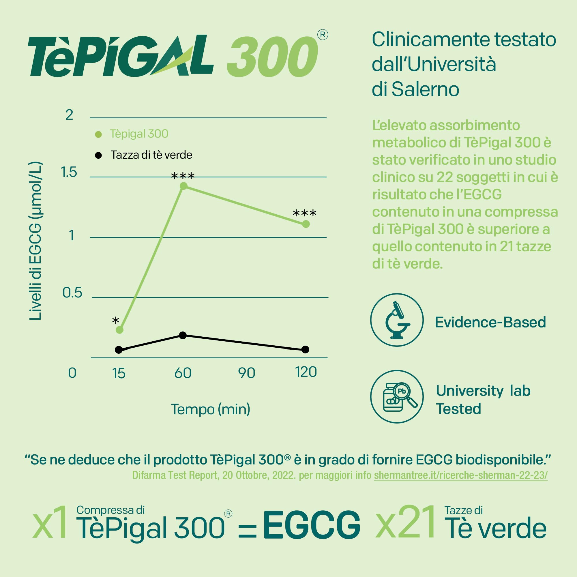 EGCG da tè verde ≥95% - Stimolante metabolico, blocca-fame, energizzante