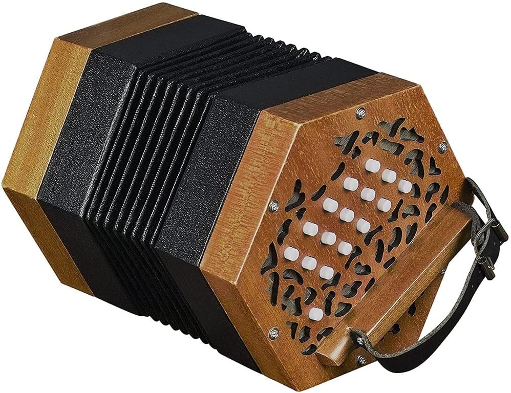 Professional Concertina Accordion, Hand Piano Accordion Musical Instrument with Carrying Bag, Adjustable Hand Strap, Musical Instrument for Adults Beginners