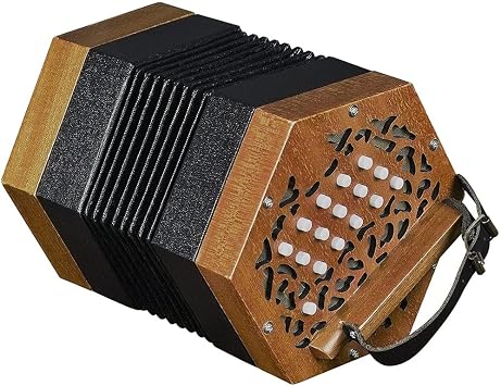 30 Button Concertina Accordion, Hand Piano Accordion Musical Instrument, Carrying Bag with Adjustable Hand Strap, Adult Beginner Musical Instrument