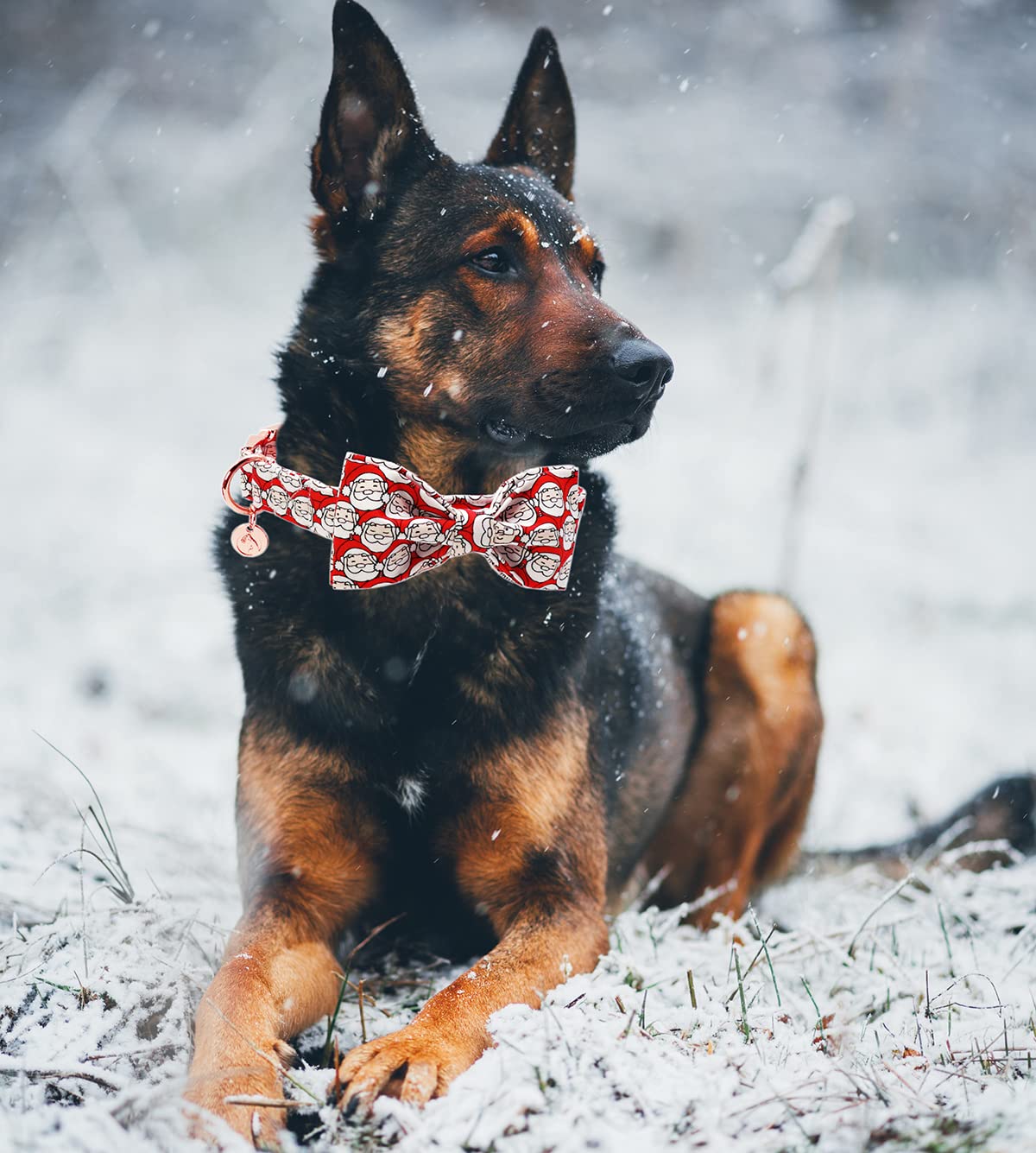 ADOGGYGO Weihnachts-Hundehalsband Mit Fliege – Verstellbar, Smoking-Look Für Festliche Anlässe