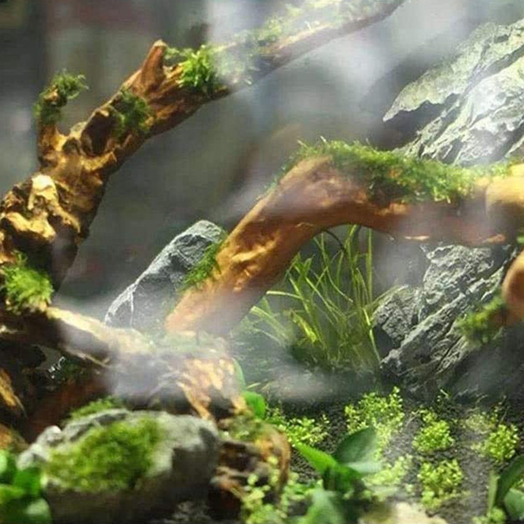 24X Grandes Ramas Naturales de Madera Flotante Reptiles Acuario Decoración del Tanque de Peces Cueva Escondite Decoración de Madera Madera de Deriva