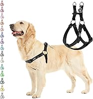 PUPTECK No Pull Dog Harness - Adjustable Soft Nylon Step-in Vest with ID Tag for Puppies, Small Dogs & Walks