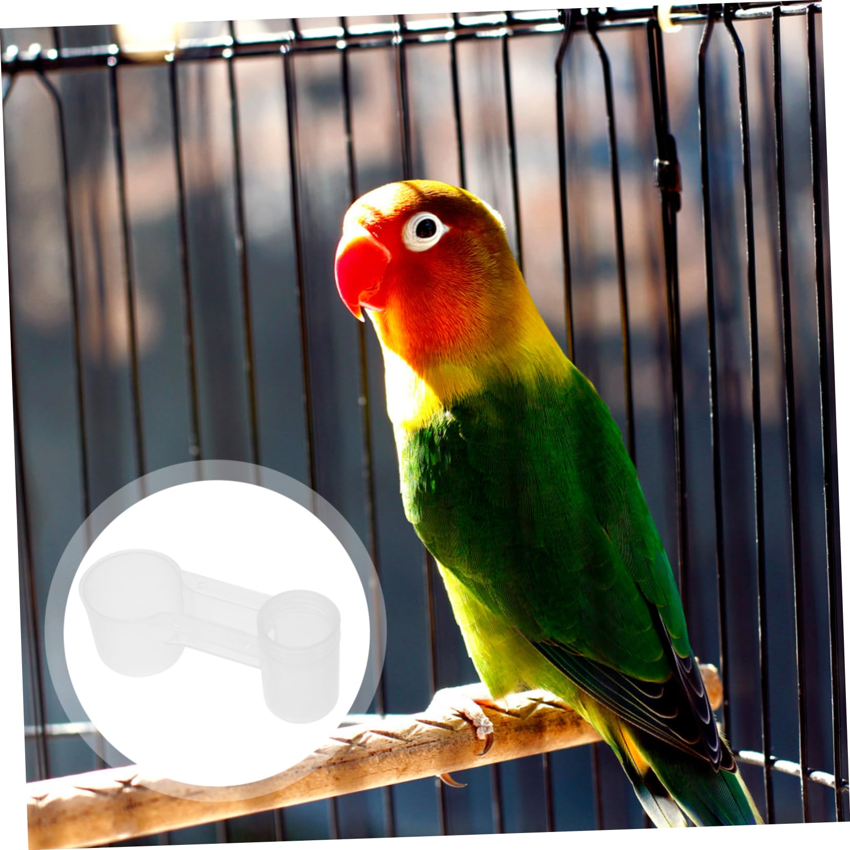Toddmomy Bebedero para Pájaros Doble Puerto, Plástico Blanco, Fácil Limpieza, Automático para Palomas y Loros en Casa o Zoológico, Pack de 10 Unidades
