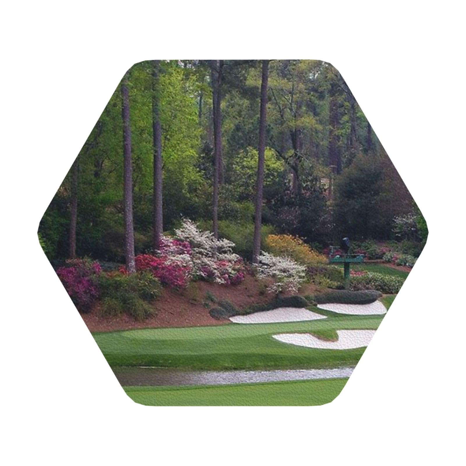 Golf Course PU Leather Coasters Set of 6 Hexagon Drink Coasters