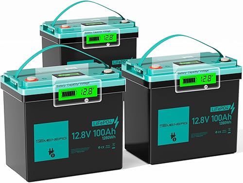 Miniatura 11 de Batería LiFePO4 de 12 V 100 Ah, batería de litio de ciclo profundo BCI Group 24 recargable, BMS integrado de 100 A con protección a baja temperatura