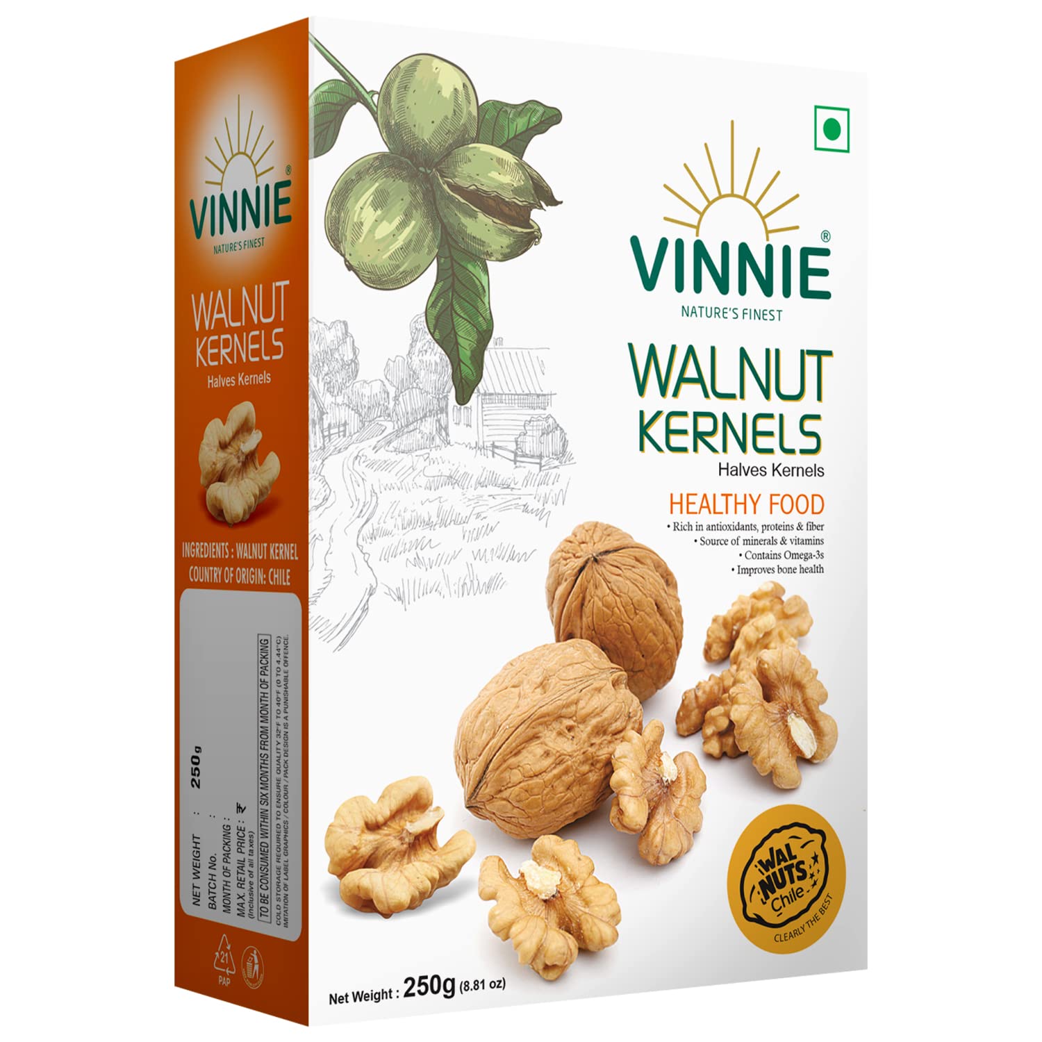 Vinnie Walnut Without Shell 250Gm | Premium Chilean Akhrot Giri | Fresh & Crunchy Walnuts Kernel Halves | Natural Raw Whole Dry Fruits Nuts | High In Protein & Anti-Oxidants | Brain Food |1 Pack (B09R4DMXVV) Amazon Price History, Amazon Price Tracker