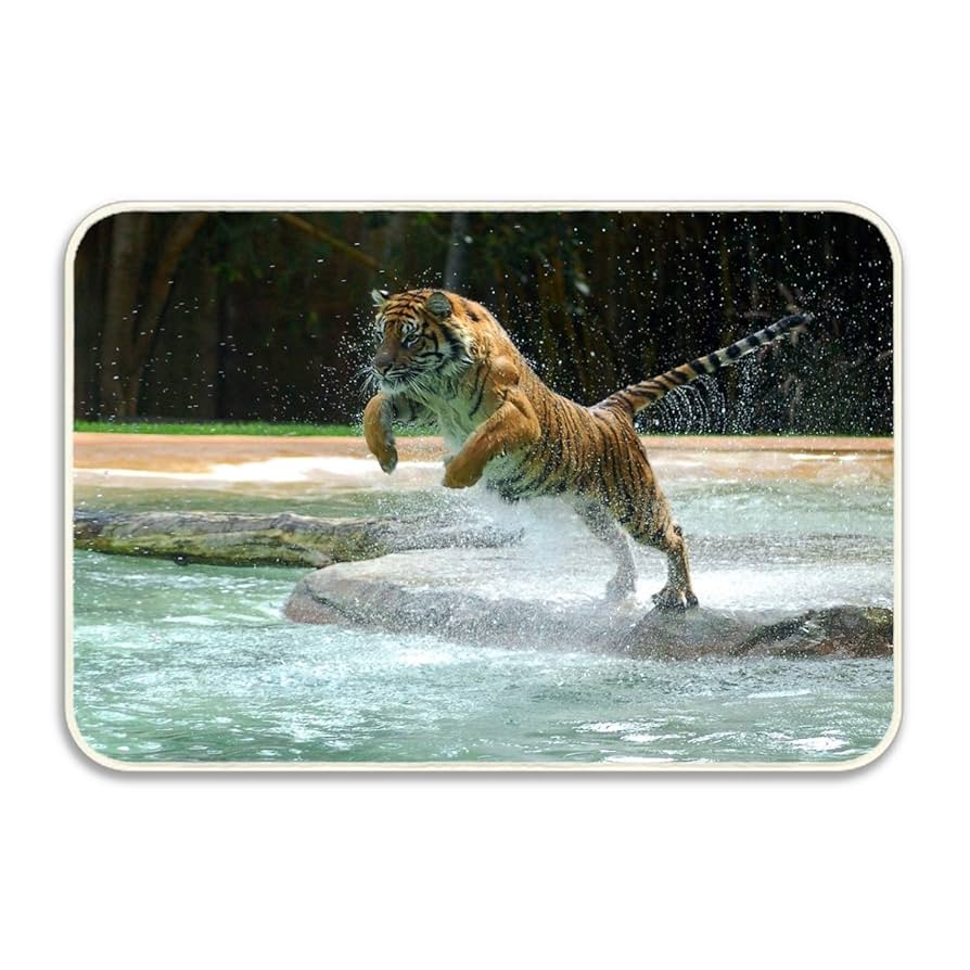 Amazon｜玄関マット 泥落としマット川の水で虎ジャンプ 業務用