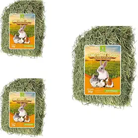 Feno Coast Cross Premium 3 kg Verdinho