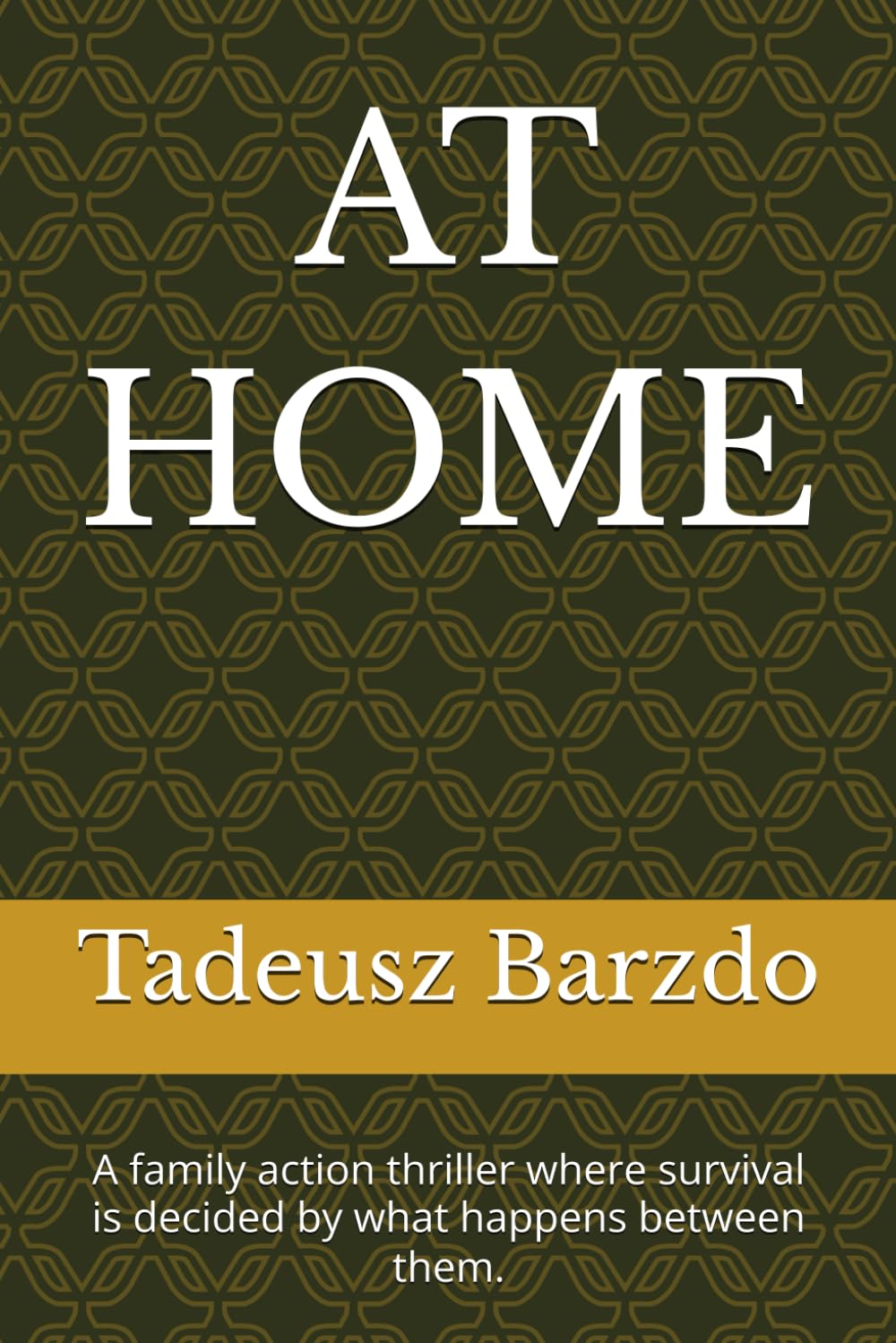 AT HOME: A family action thriller where survival is decided by what happens between them.