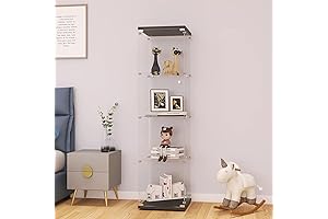 LFT Glass Shelves Display - Elegance and Functionality in Perfect Harmony