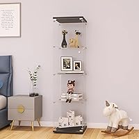 LFT HUIMEI2Y 4-Shelf Glass Curio Display Cabinet with Lockable Door, Quick-Install Tempered Glass Bookshelf 65x17x14.5 Black