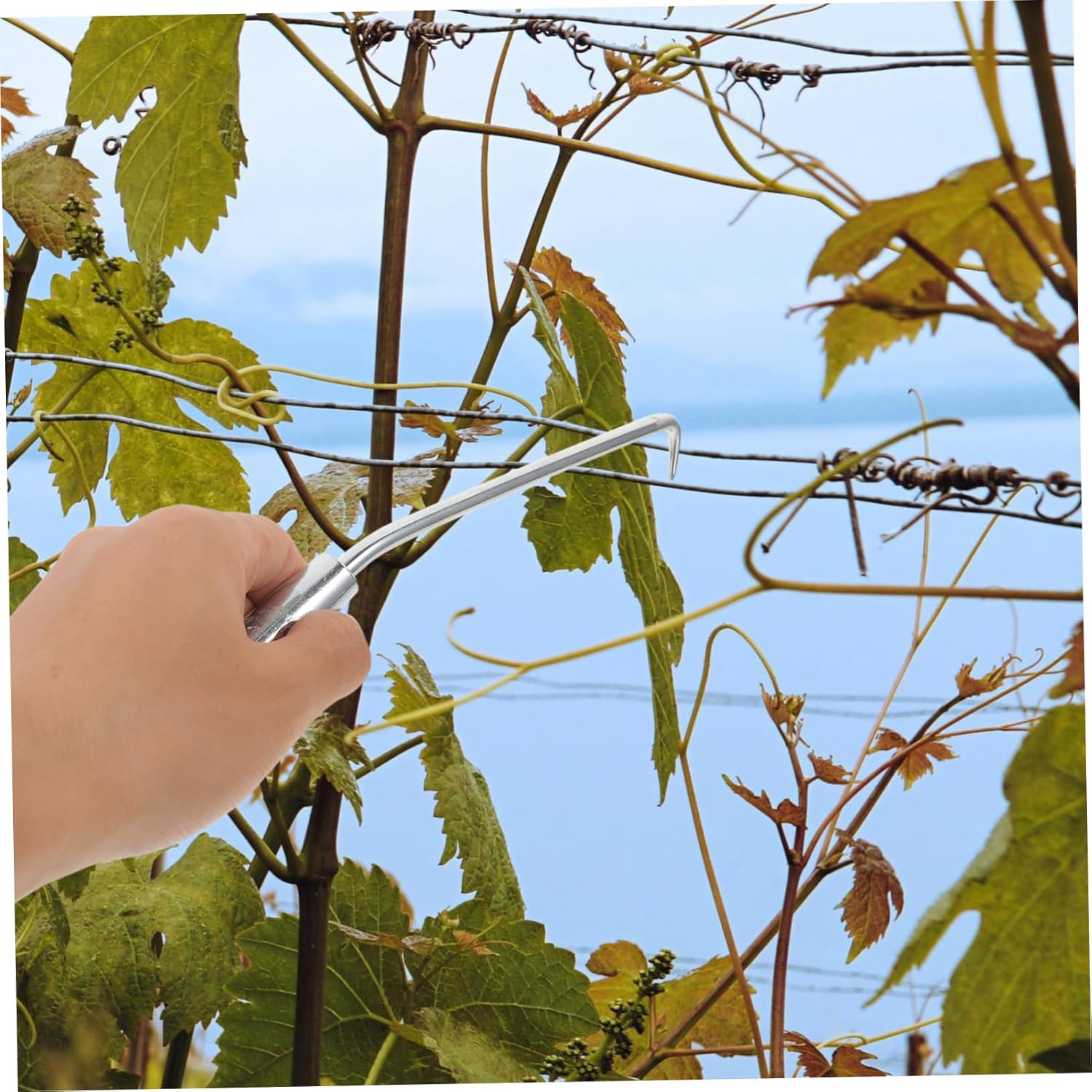 Mipcase 8pcs Steel Hook Plant Tying Tool Garden Fence Tie Hook for Climbing Plants Tying Tools