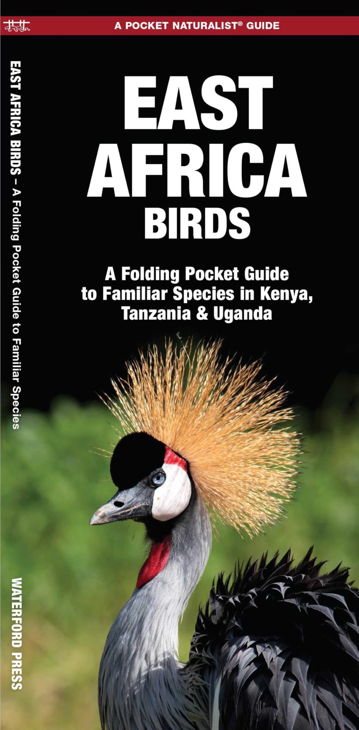 East Africa Birds: A Folding Pocket Guide to Familiar Species in Kenya, Tanzania & Uganda (A Pocket Naturalist Guide) (Nature Observation International)