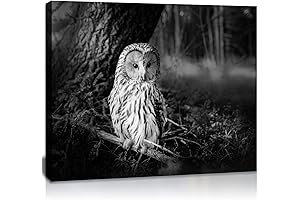Bewitching Black and White Owl Canvas: Enhance Your Walls with Wildlife Charm