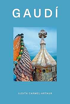洋書 GAUDI THE VISIONARY 洋書 GAUDI THE VISIONARY GAUDÍ. THE LIFE OF A VISIONARY