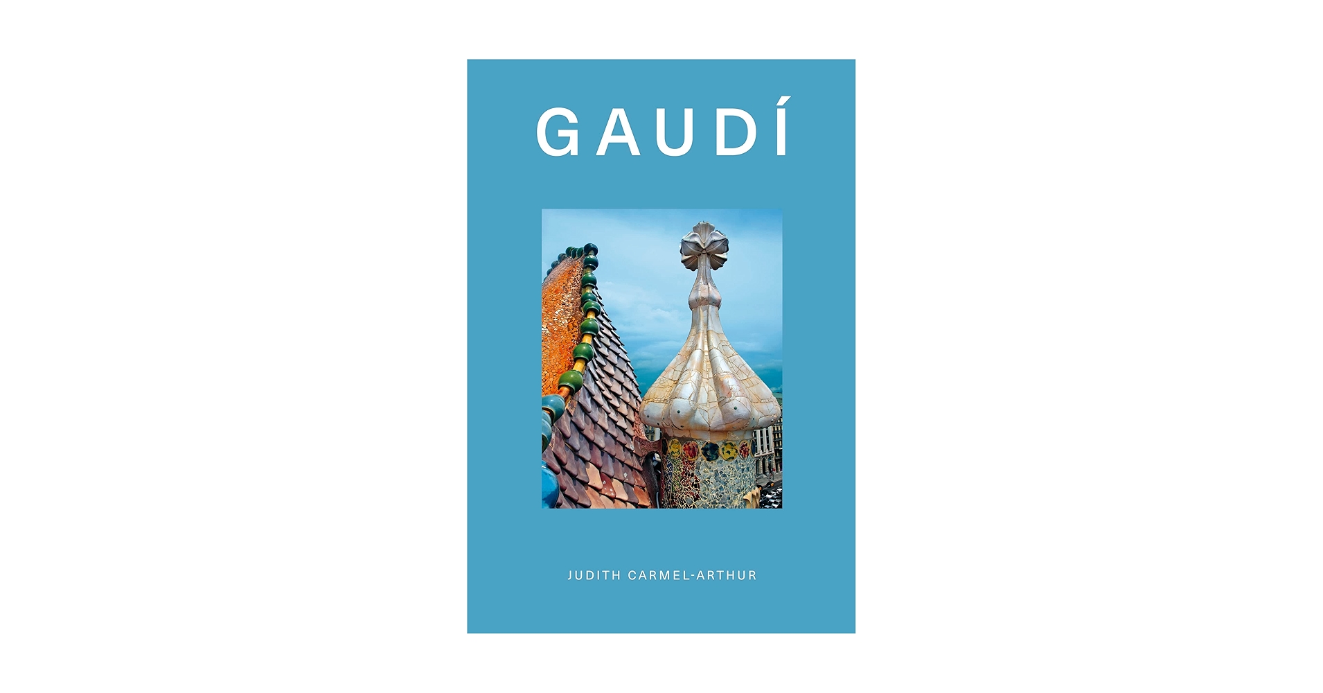 洋書 GAUDI THE VISIONARY Amazon | Antoni Gaudi: Visionary Architect of the Sacred and