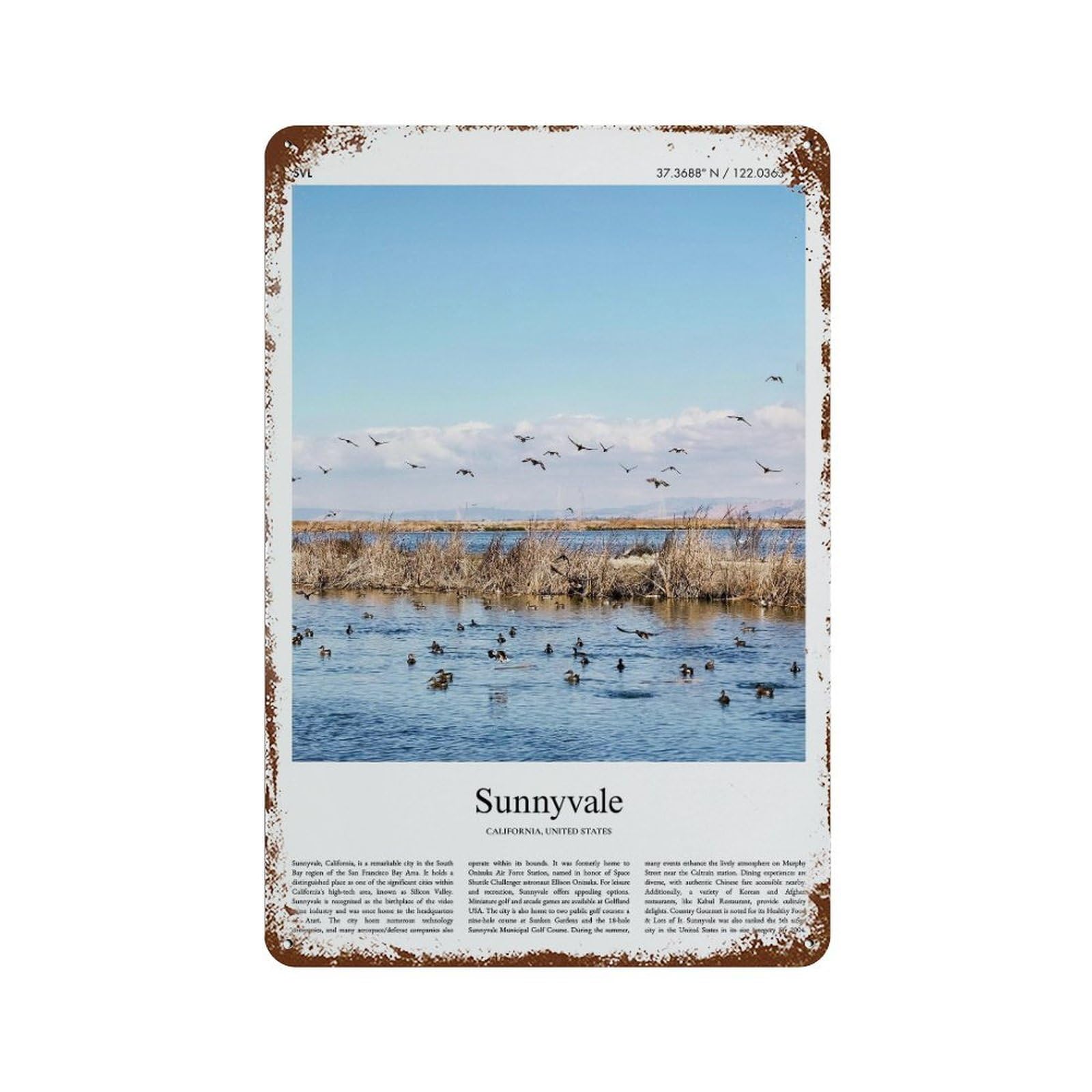 xiaoxiaoshen Sunnyvale California, United States, USA City Scenery Wall Decor Art Metal Tin Poster Modern Home Decor Art Home Bar Shop Decorations Vintage Sign 30x20cm