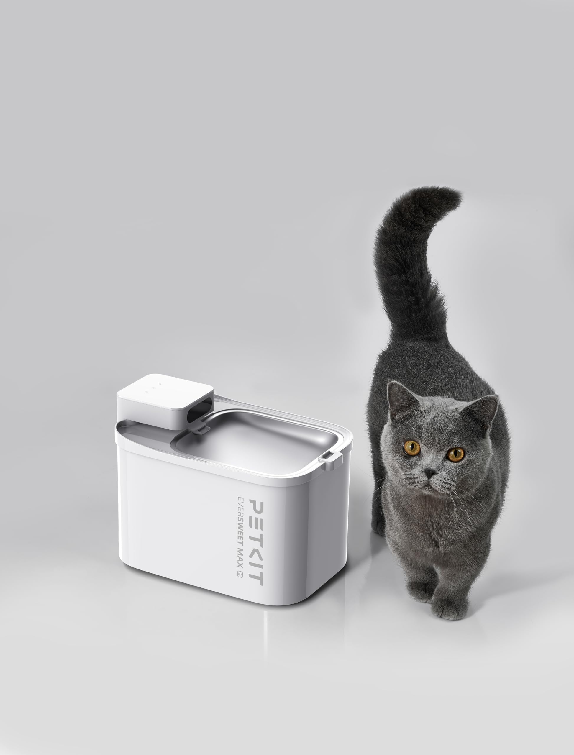 Amazon | [neikonu store-petkit]ペット用スマート給水器 P4116 エバー